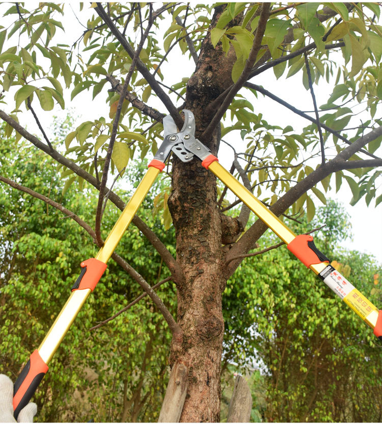 广海机械粗枝剪详情页_20_16