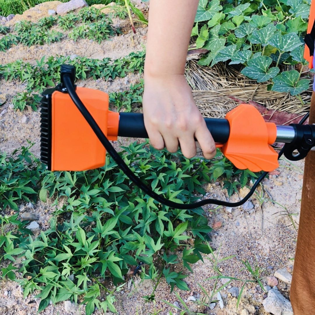 微信图片_20200911090249