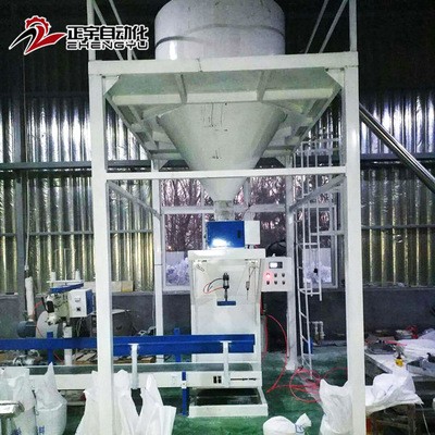 DCS-ZY-W50颗粒定量包装秤立式称重颗粒包装秤多功能食品包装设备图4