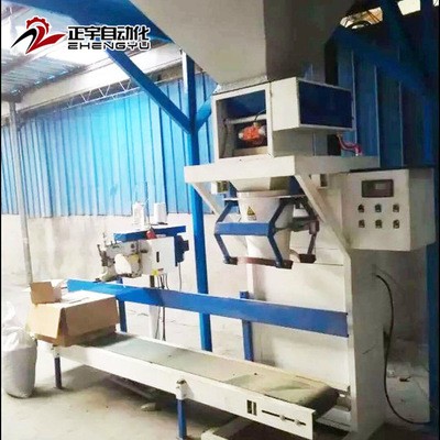 DCS-ZY-W50颗粒定量包装秤立式称重颗粒包装秤多功能食品包装设备图3