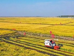 人民网评：推动农业机械化全程全面高质量发展