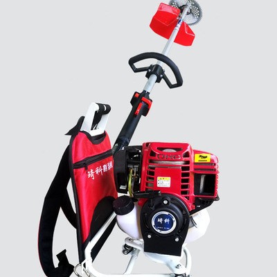 背负式割草机草坪剪草二冲四冲小型农用除草机大功率草坪机图2