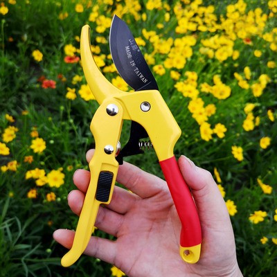 山藤滑轮省力修枝剪园艺修枝剪果树剪枝剪园林修枝剪省力修树剪子图3