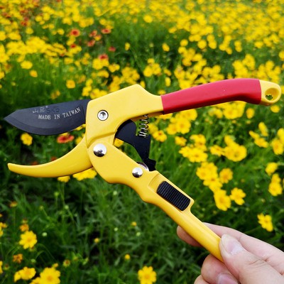 山藤滑轮省力修枝剪园艺修枝剪果树剪枝剪园林修枝剪省力修树剪子图4