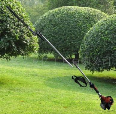 高性能 低价格 高枝剪 long pole hedge trimmer图3
