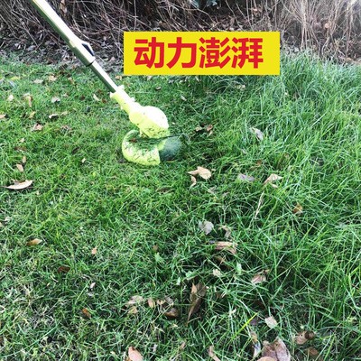 充电式割草机 锂电小型家用大功率除草机 无绳电动园艺工具草坪剪图4