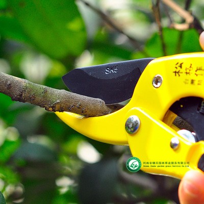 园林剪刀 台湾威克滑轮省力修枝剪绿化园林剪园艺果枝剪SK5钢材图2