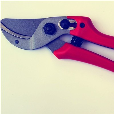 园林剪刀 台湾 威克 刀钻型修枝剪绿化园林剪园艺果枝剪SK5钢材图3