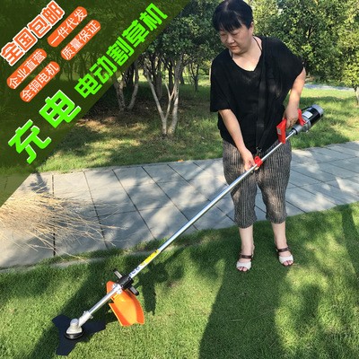 电动割草机家用剪草机充电式打草机可配摩托车电池电瓶车电池果园图2