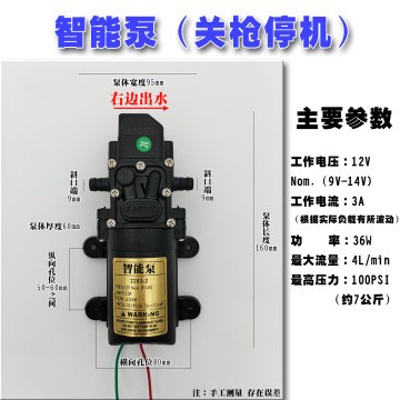 厂家直销12V隔膜泵智能压力泵3000转高压力电动喷雾器水泵20W40W