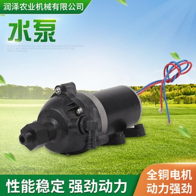 自吸式12V大功率隔膜泵 2600泵2800泵 农用电动喷雾器高压水泵