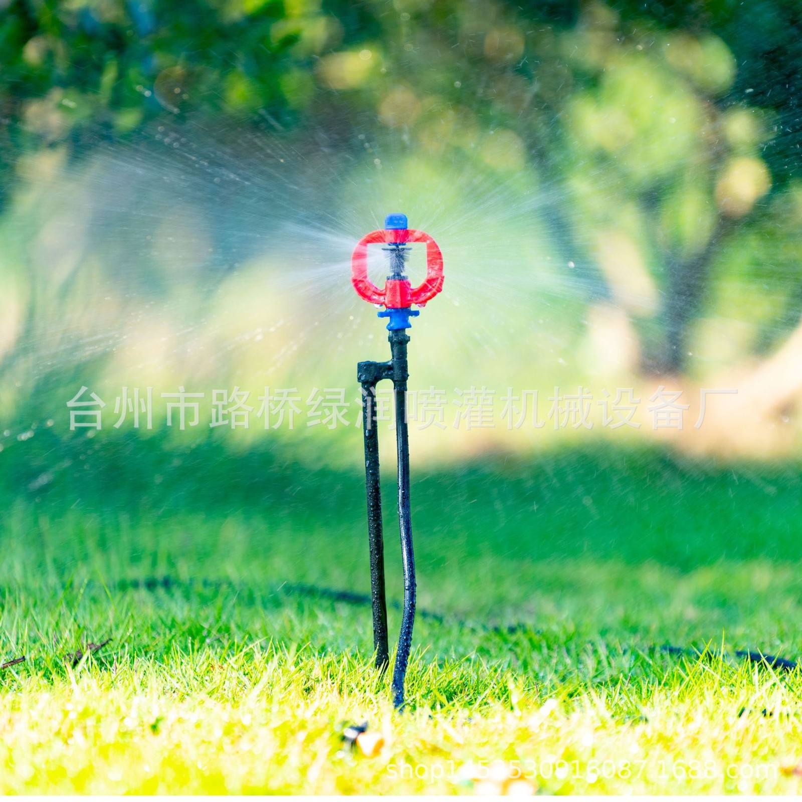 园艺温室大棚蔬菜种植节水育苗微喷头地插喷灌设备滴水自动灌溉图2