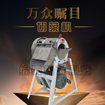 河北缔豪土豆切丝机 切片机小型多功能切菜机 切蔬菜机图3