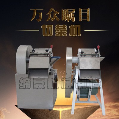 河北缔豪土豆切丝机 切片机小型多功能切菜机 切蔬菜机图2