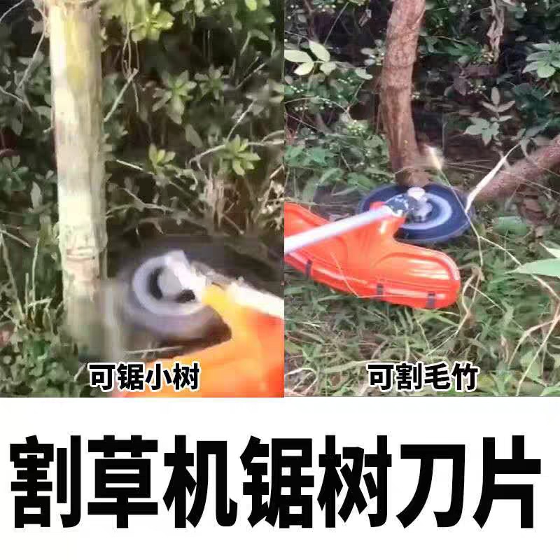 微信图片_20200406213951