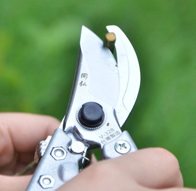 农用岡弘修剪树枝剪园林省力剪刀花剪粗枝剪果树修枝园艺工具图4