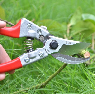 农用岡弘修剪树枝剪园林省力剪刀花剪粗枝剪果树修枝园艺工具图5