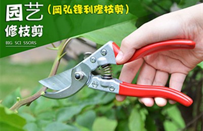 农用岡弘修剪树枝剪园林省力剪刀花剪粗枝剪果树修枝园艺工具图2