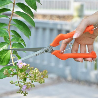 园林修枝剪佐川田剪加长采果剪 245mm黑枸杞花椒花摘果剪剪刀园艺