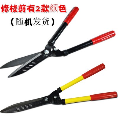 园艺果树剪修枝剪大花剪剪刀园林剪草坪绿化整形剪果枝剪户外工具图4