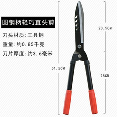 园艺果树剪修枝剪大花剪剪刀园林剪草坪绿化整形剪果枝剪户外工具图5