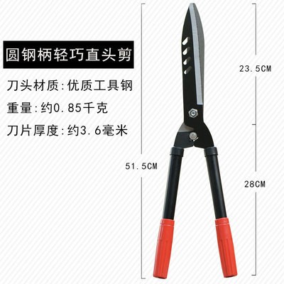 园艺果树剪修枝剪大花剪剪刀园林剪草坪绿化整形剪果枝剪户外工具图3