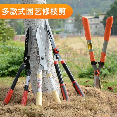 园艺果树剪修枝剪大花剪剪刀园林剪草坪绿化整形剪果枝剪户外工具图2