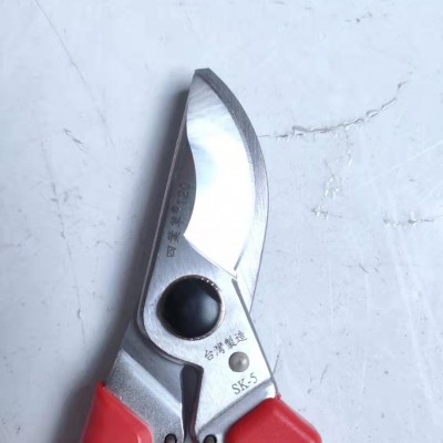 园林花艺花剪园艺修剪树枝剪粗枝果树剪枝修花剪刀修枝剪省力剪子