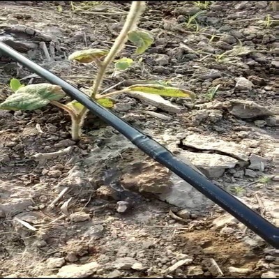 节水灌溉滴灌管滴灌带大棚滴灌膜下滴灌16内镶式滴灌管图4