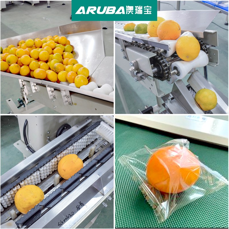 定制款水果包装机 自动上料橙子苹果柠檬单个包装机械 源头厂家图2