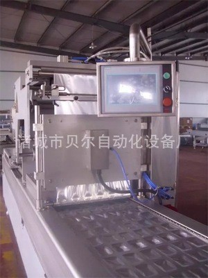 阿胶真空包装机 豆干真空包装机 鱿鱼仔真空包装机图5