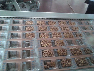 厂家直销 食品机械 全自动真空包装机 全自动拉伸膜真空包装机图2