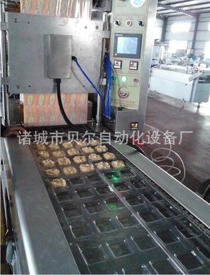 厂家直销 食品机械 全自动真空包装机 全自动拉伸膜真空包装机图5