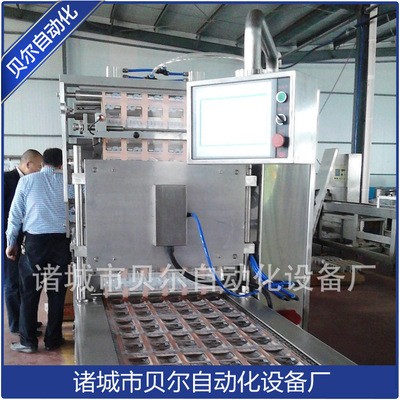 厂家直销 食品机械 全自动真空包装机 全自动拉伸膜真空包装机