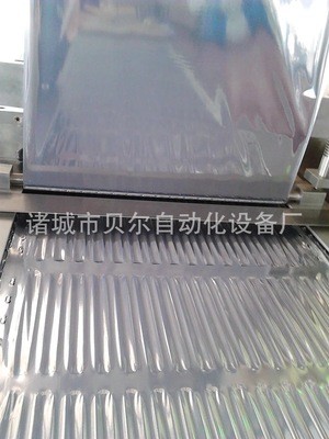 厂家直销 食品真空包装机 无菌优质真空包装机 质量保证 上门安装图5