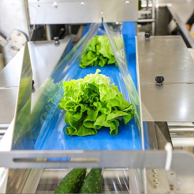 社区超市全自动蔬菜水果包装机托盘水果包装设备枕式食品包装机械