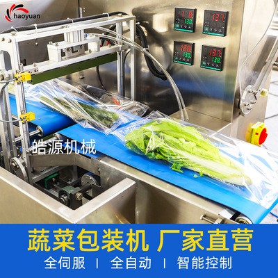 厂家定制蔬菜包装机打包机水果包装设备食品枕式包装机械全自动图4