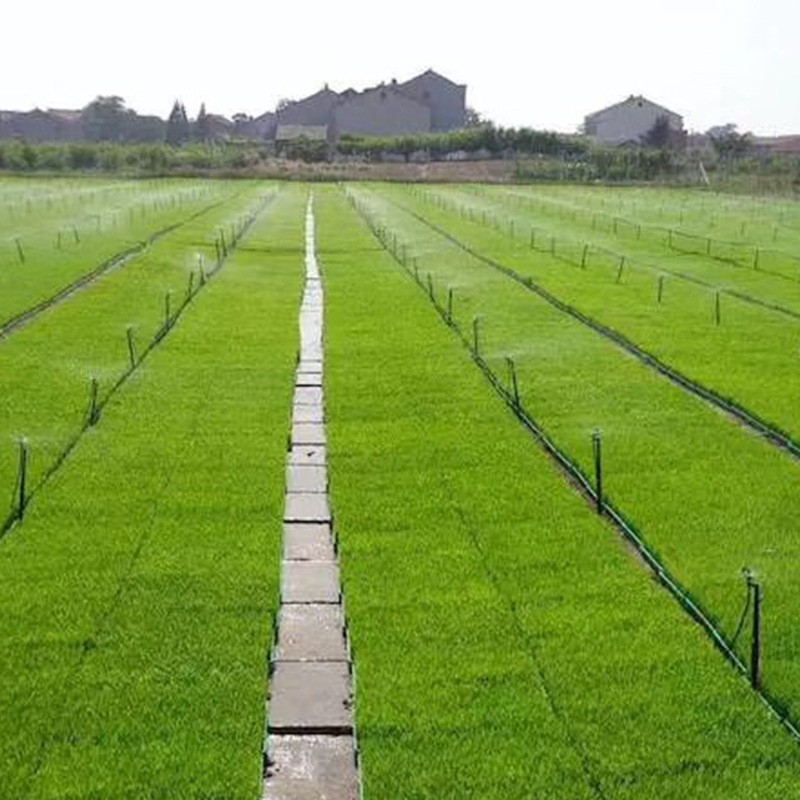 农业灌溉工具地插式微喷头广西现货批发果园农业灌溉雾化地插微喷图4