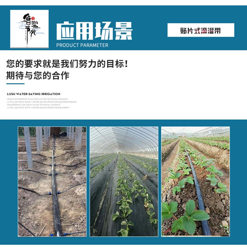 双孔贴片滴灌带 10cm间距滴灌带20间距15间距贴片式滴灌带图2