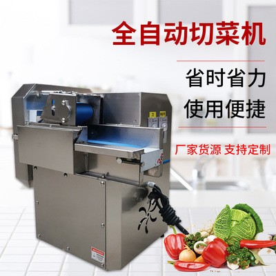 厂家供应BJ-20型多功能切菜机食堂餐饮商用不锈钢切条切丝切菜机图3