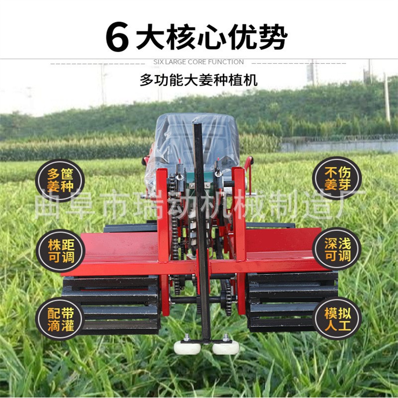 自走式生姜播种机器全自动大姜种植机农业座驾式埋姜机图5