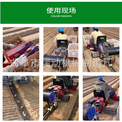 自走式生姜播种机器全自动大姜种植机农业座驾式埋姜机图3