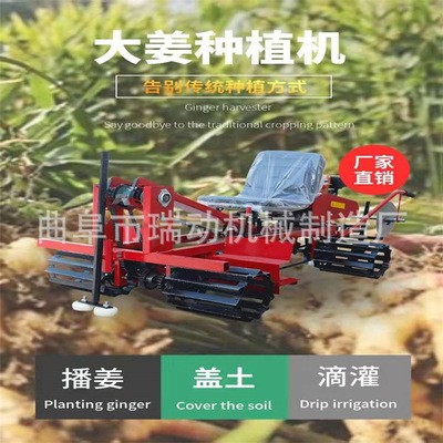 大姜种植机 多功能生姜播种 盖土 滴灌一体机效率高不伤姜牙