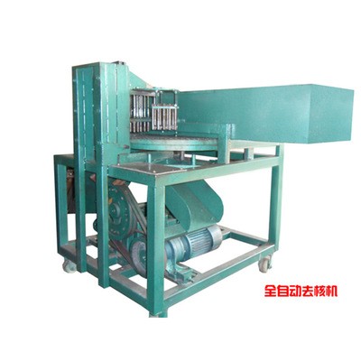 红枣全自动去核机 大小通用 全自动大枣 小枣去核机冲核机图5