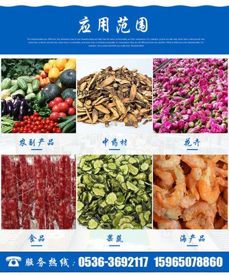 小型食品烘干房 五味子荷叶烘干箱 叶子烘干设备 大小定制图4