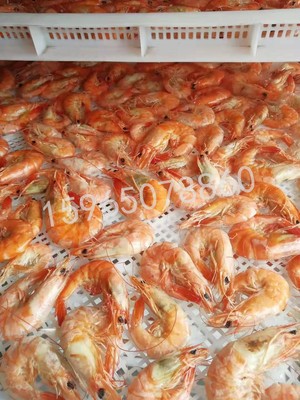 厂家供应食品烘干设备 大虾红薯干烘干箱 农副产品海产品烘干炉图4