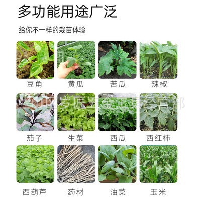 玉米移苗器起苗器草莓蔬菜打孔器挖苗器栽苗器补苗取土种植移载器图3