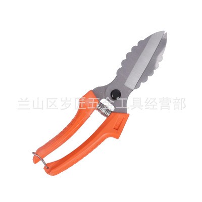 大蒜剪刀专用剪蒜根剪蒜头剪大蒜剪蒜胡农用大葱生姜洋葱专用剪子图5
