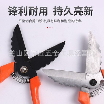 大蒜剪刀专用剪蒜根剪蒜头剪大蒜剪蒜胡农用大葱生姜洋葱专用剪子图3