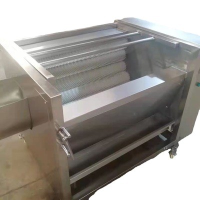 红薯毛辊清洗机 果蔬全自动清洗机 土豆山芋清洗去皮机图5